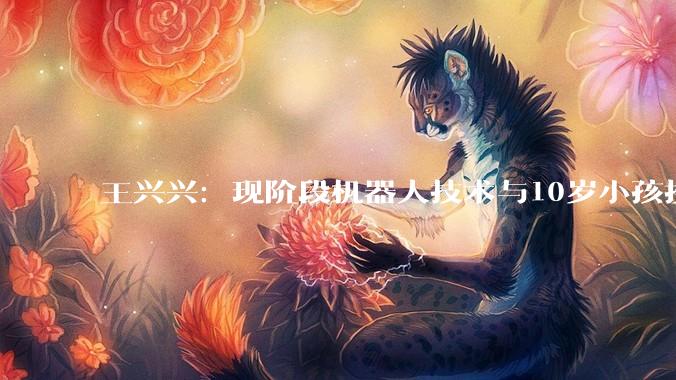 王兴兴:现阶段机器人技术与10岁小孩接近 大规模应用还需时间_宇树_科技_卫诗